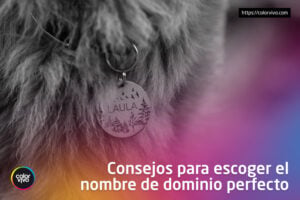dominio perfecto