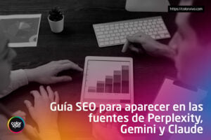 Inicio Color Vivo Internet 11 seo perplexity